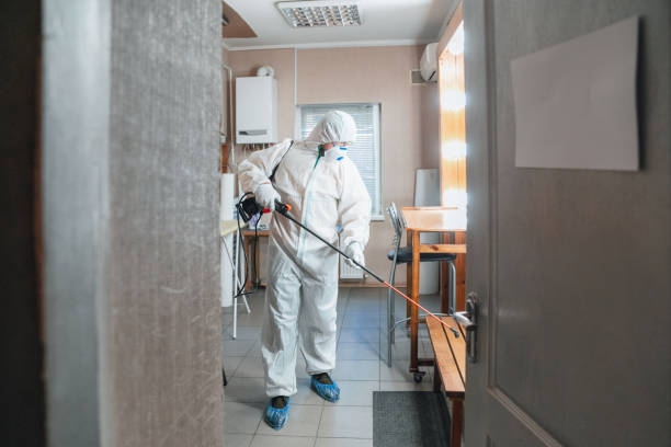 Best Air Quality Testing for Mold Spores  in Ntgomery City, MO